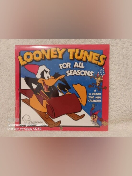 Warner Bros. Other - Vintage Looney tunes for all seasons mini calendar